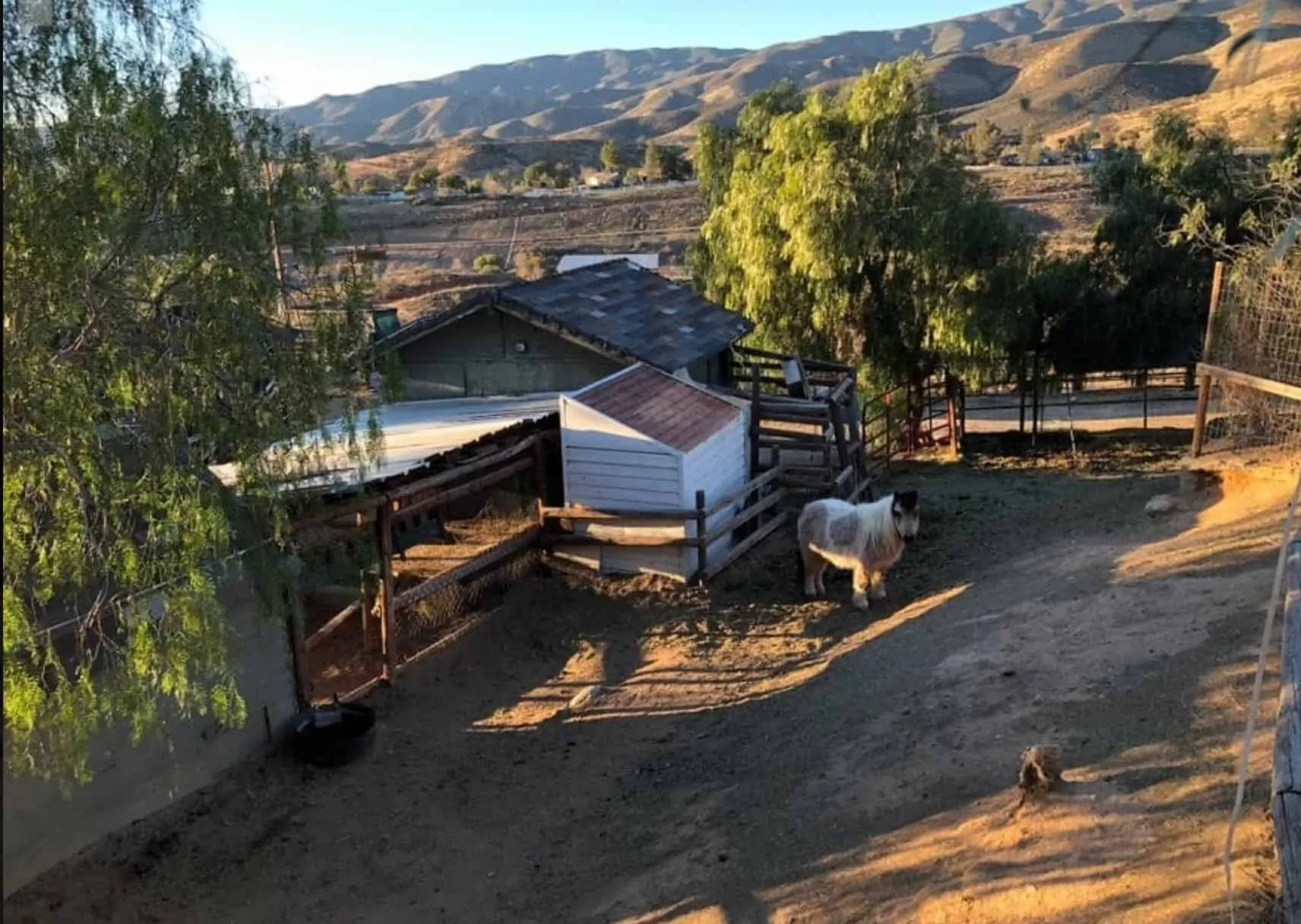 ranch with horses and livestock