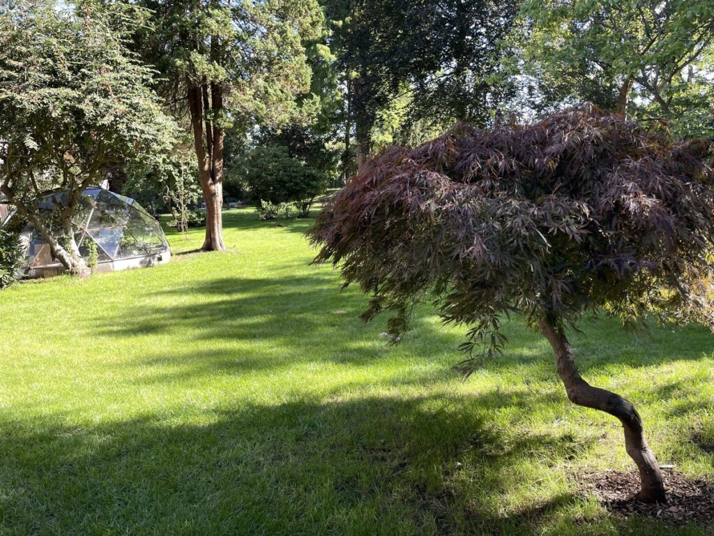 grand jardin verdoyant avec geode