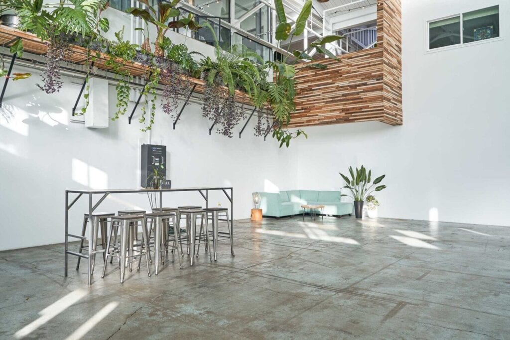 : Grande salle blanche avec sol en béton, tables hautes et plantes suspendues.