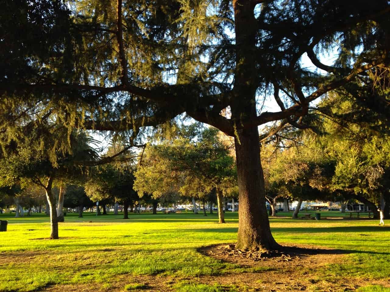 arcadia county park los angeles