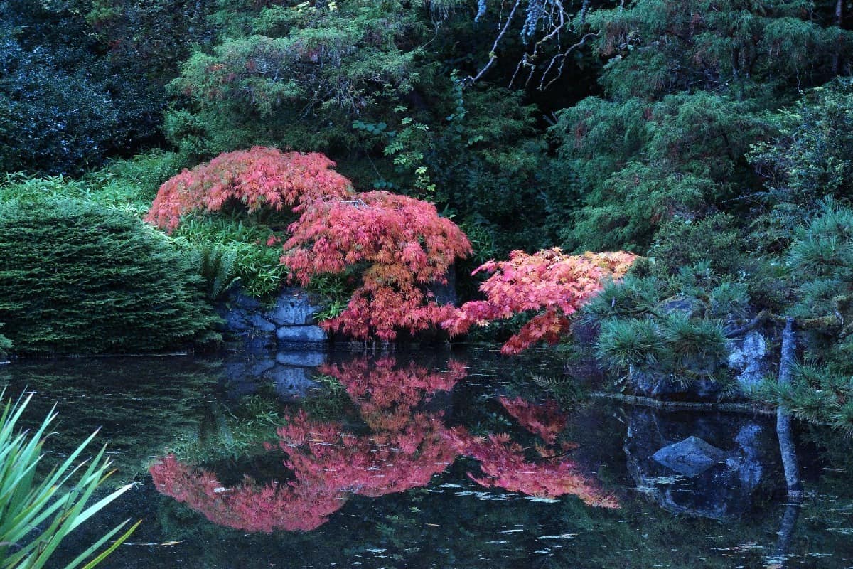 Kubota Garden seattle