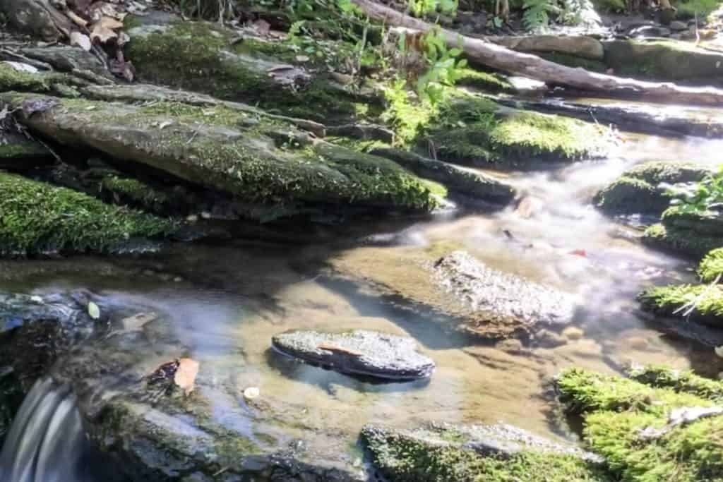 Olmstead linear park atlanta