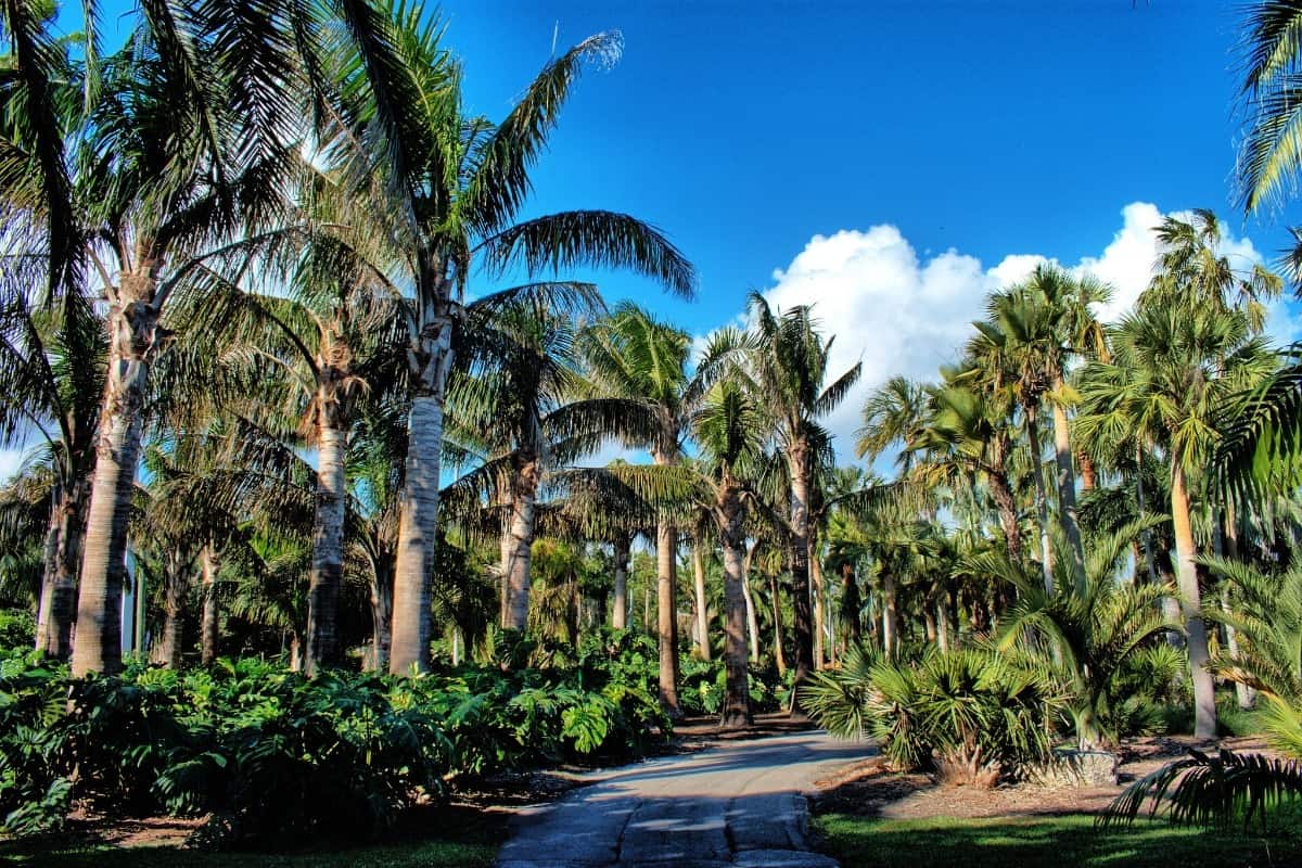 Fairchild Tropical Botanic Garden miami