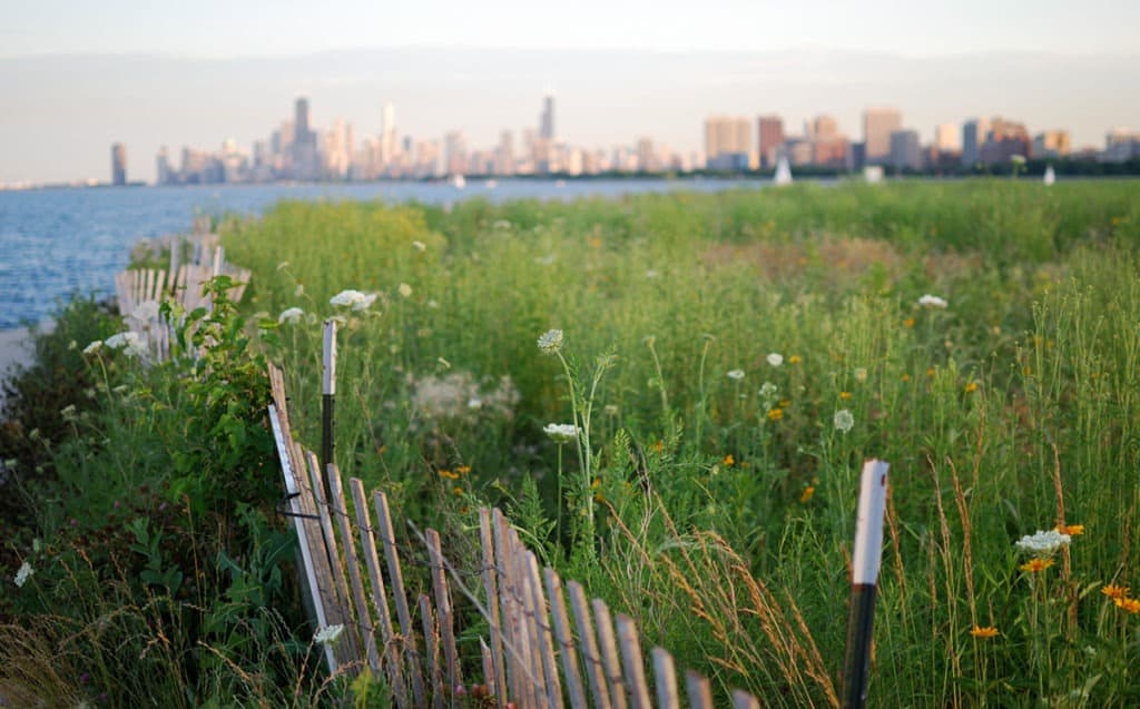 Montrose Point Bird Sanctuary chicago