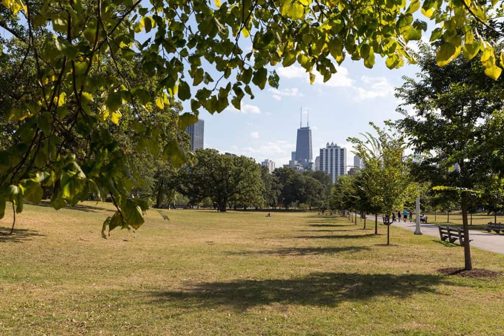 Old Town Triangle Park chicago