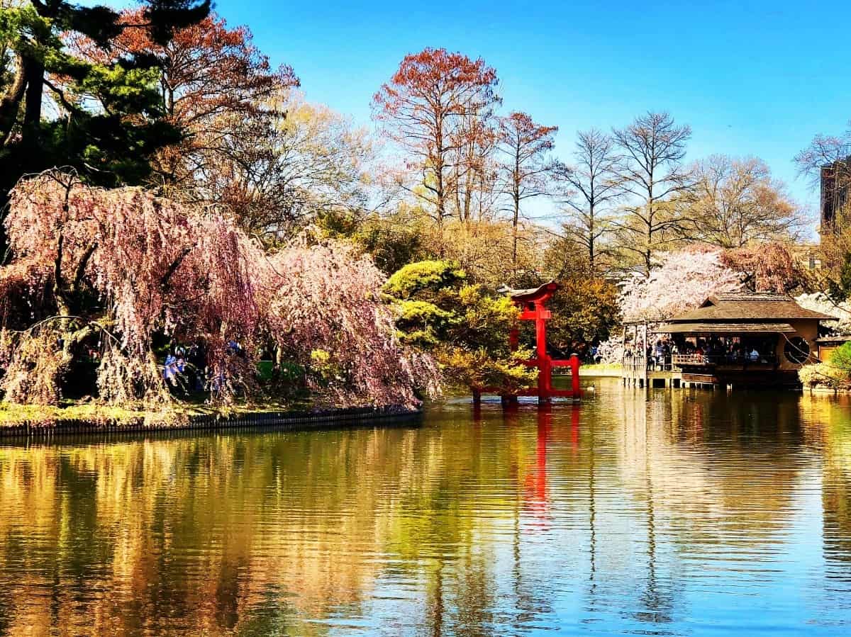 brooklyn botanic garden nyc new york city