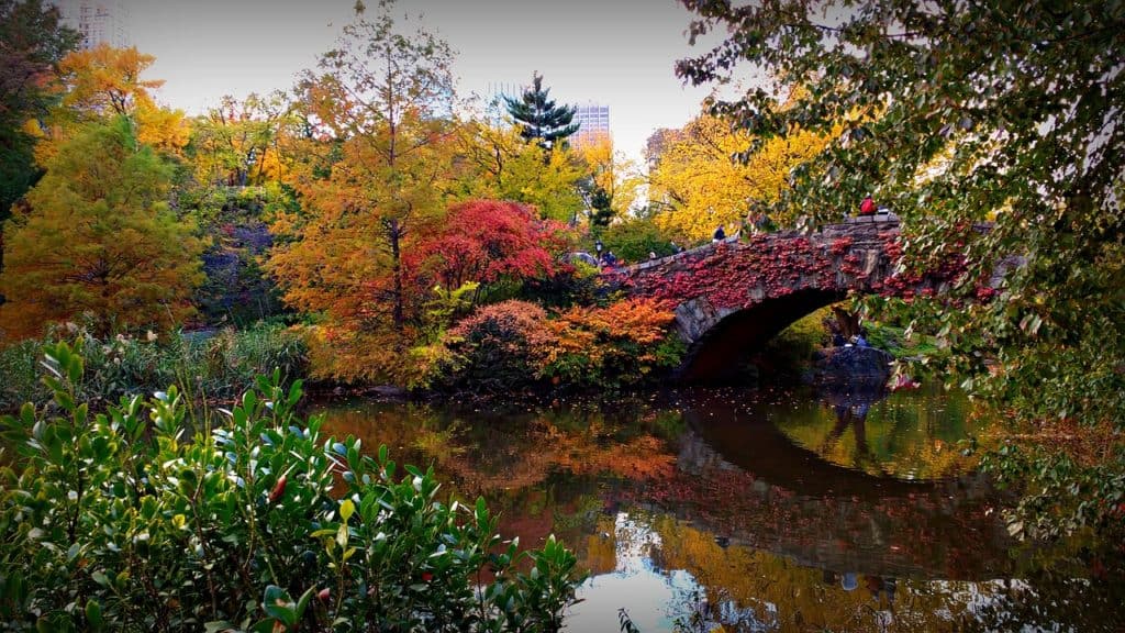 nyc central park new york city