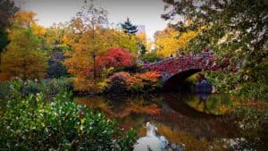 The 9 Best Fall Photoshoot Ideas Near New York City | Peerspace