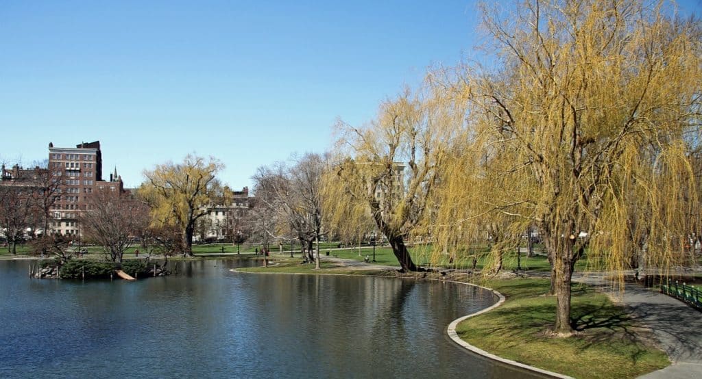 boston common and public garden