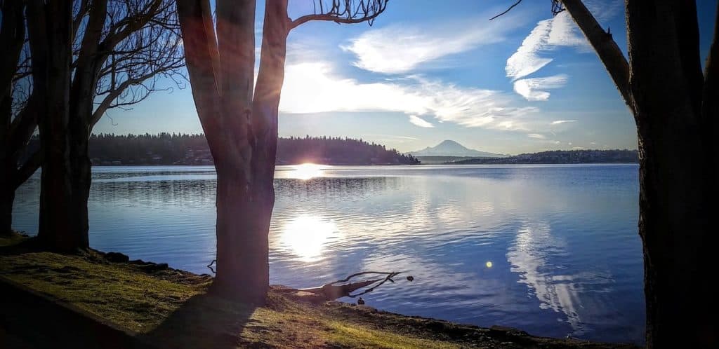 Seward Park seattle