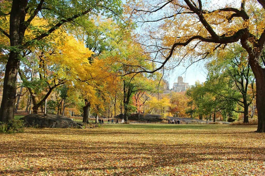 central park nyc new york city