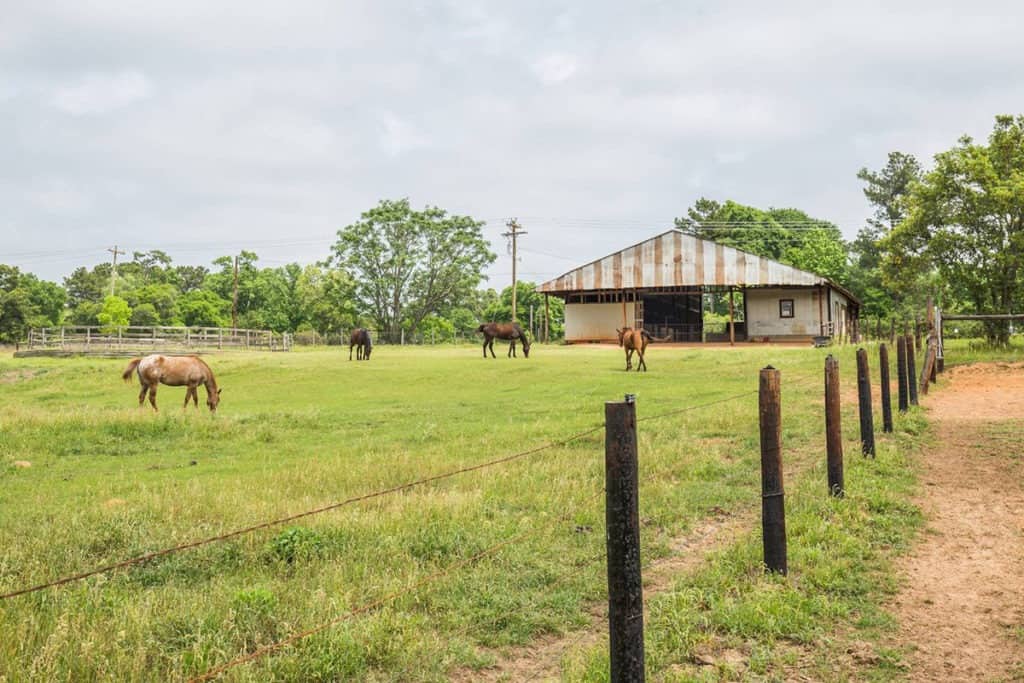 ranch house houston rental