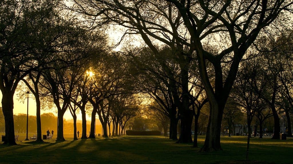 national mall dc washington d.c.