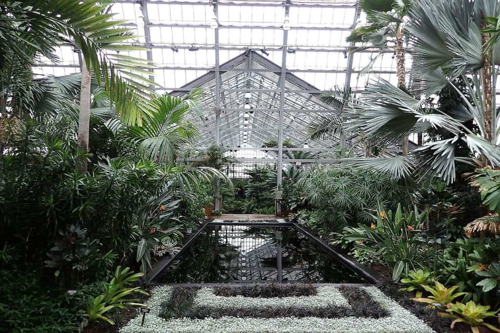 Garfield Park Conservatory chicago