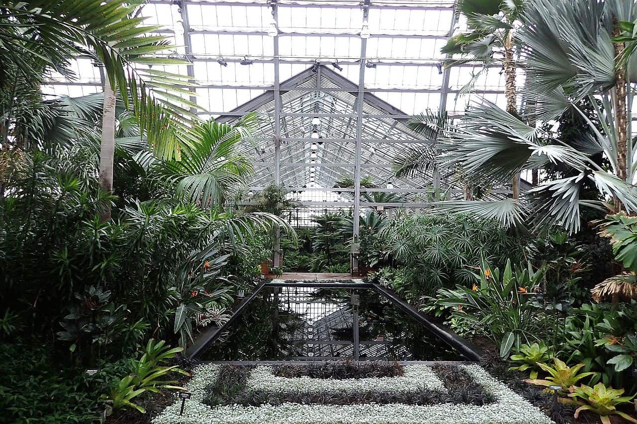 Garfield Park Conservatory chicago