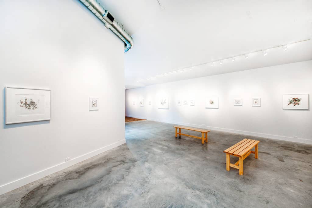 contemporary art gallery austin rental