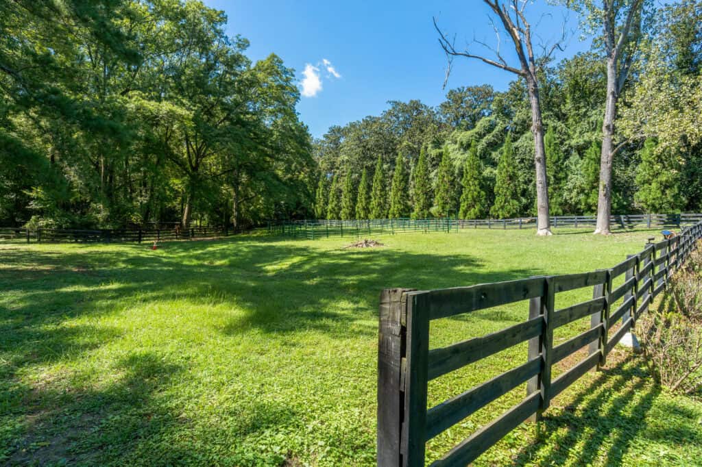 6 Acre's of Green Space right in Atlanta rental