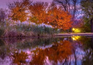 The 8 Best Still Life Photographers in Baltimore | Peerspace