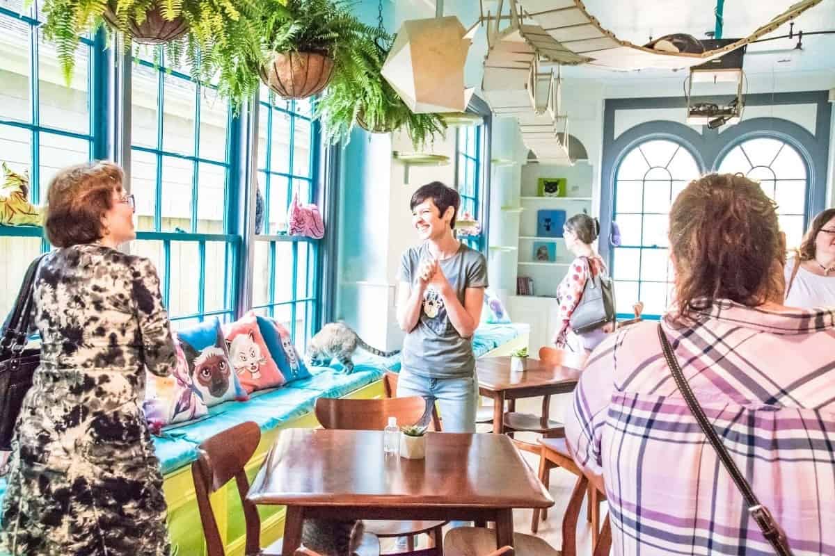 13 Great Social Mixer Ideas (2024) Peerspace