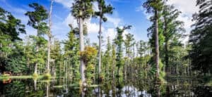 The 8 Best Landscape Photographers in Charleston | Peerspace