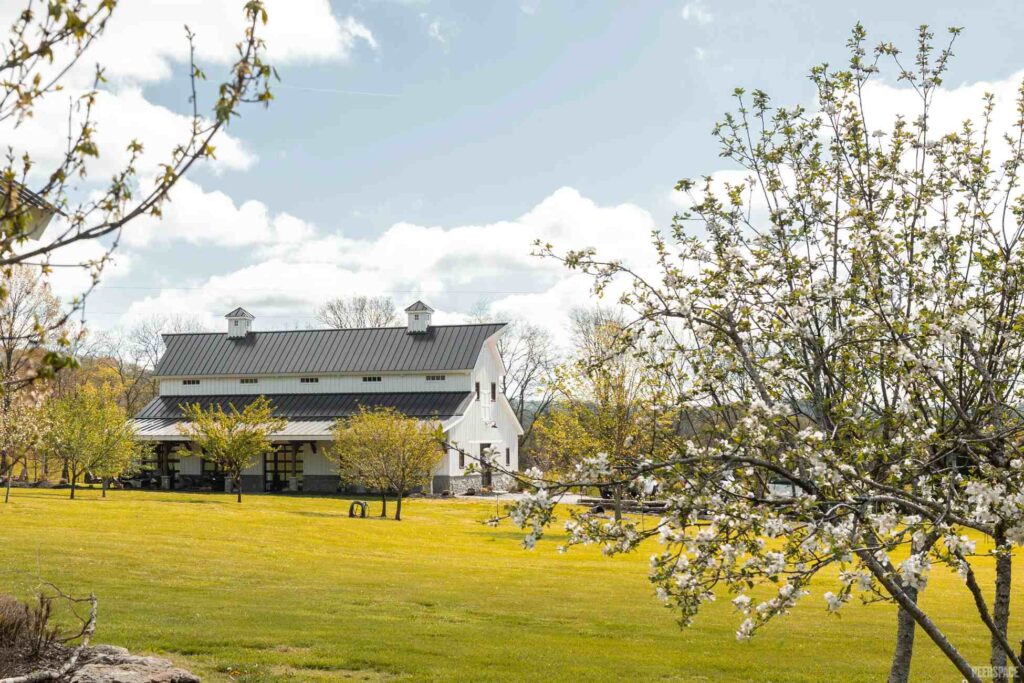 How to Find Airbnb Farm-Like Rentals Without the Restrictions | Peerspace