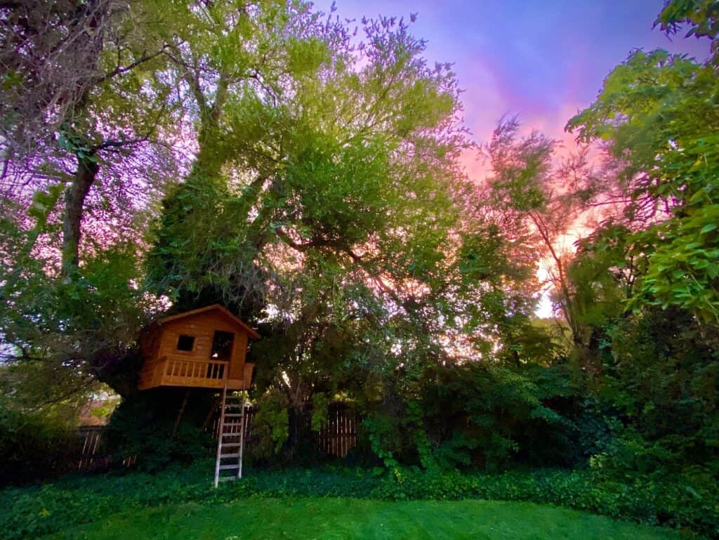 Cute Little Treehouse in a Secluded Backyard slc salt lake city rental
