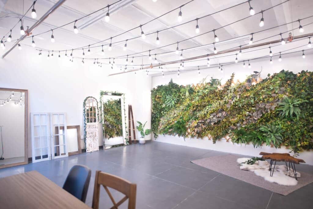 DTLA Boho 1 Ivy Wall Studio with Mirrors los angeles rental