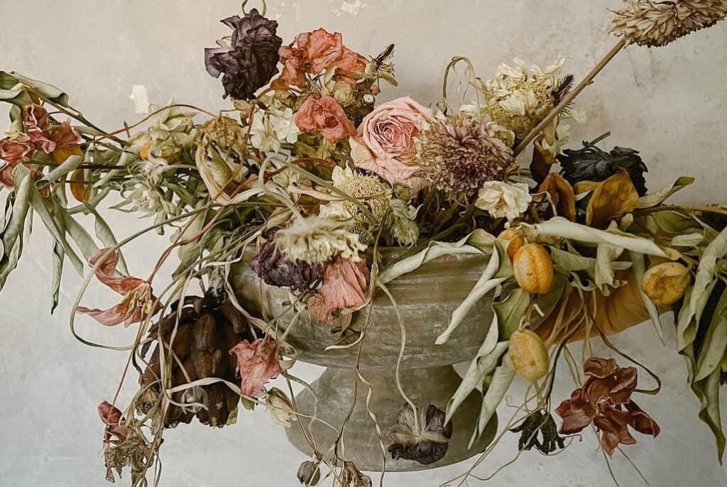 The 8 Best Still Life Photographers in Denver | Peerspace