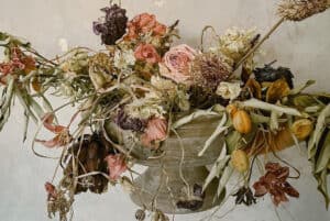 The 8 Best Still Life Photographers in Denver | Peerspace