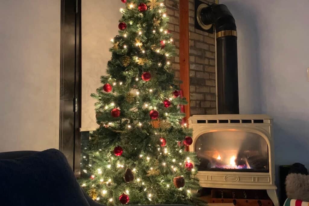 Christmas Gender Reveal Ideas