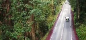 The 8 Best Drone Videographers Shooting Aerial Cinematography in Phoenix, AZ | Peerspace