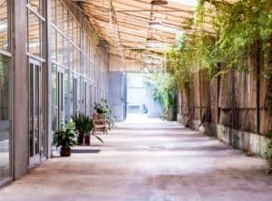 The 7 Best Outdoor Wedding Venues in Miami | Peerspace