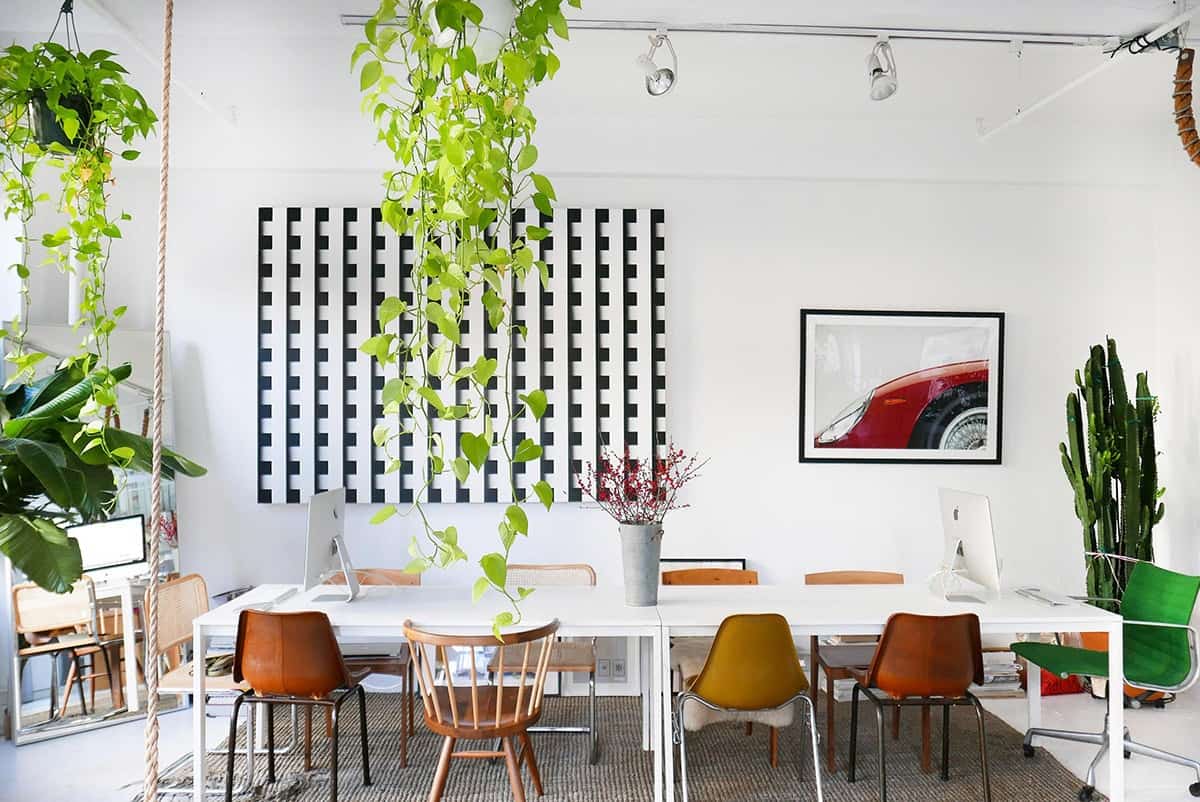 Greenhouse Loft with 20 Windows nyc new york city rental