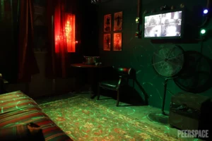 17 Cool Wednesday Addams Party Ideas | Peerspace