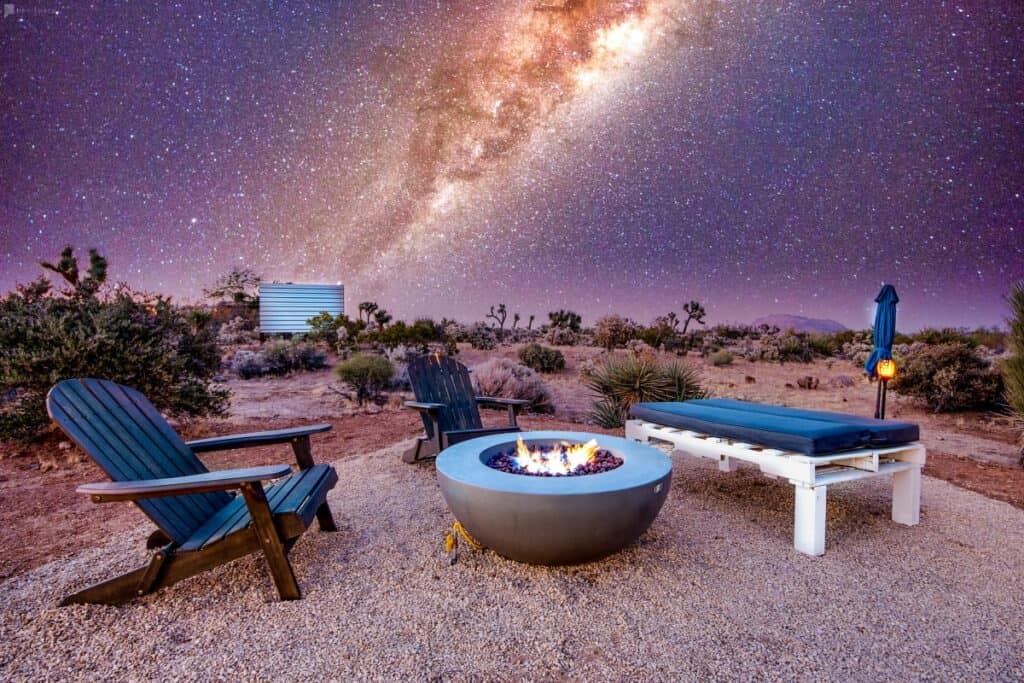 a joshua tree outdoor space under the stars