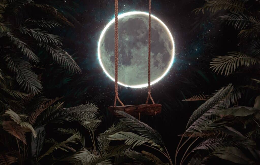 Jungle Swing & Neon Full Moon Set dallas rental