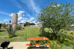 12 Groovy Ideas For A Woodstock Themed Party (2025) | Peerspace