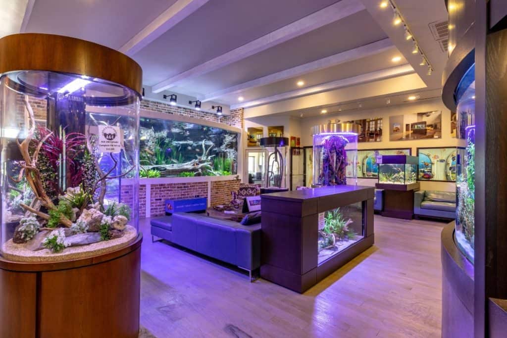 Multi-purpose Event Space - Aquarium Showroom - Uptown houston rental
