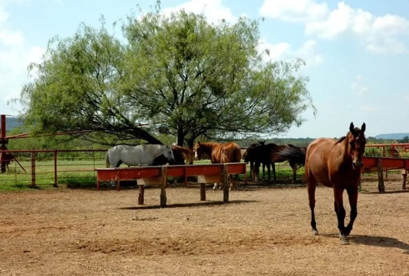 North Rio Vista Ranch in Palo Pinto fort worth rental