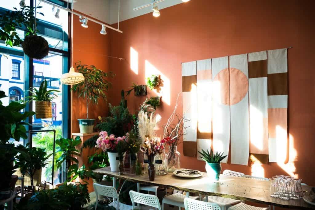 a plant shop with lots of natural light