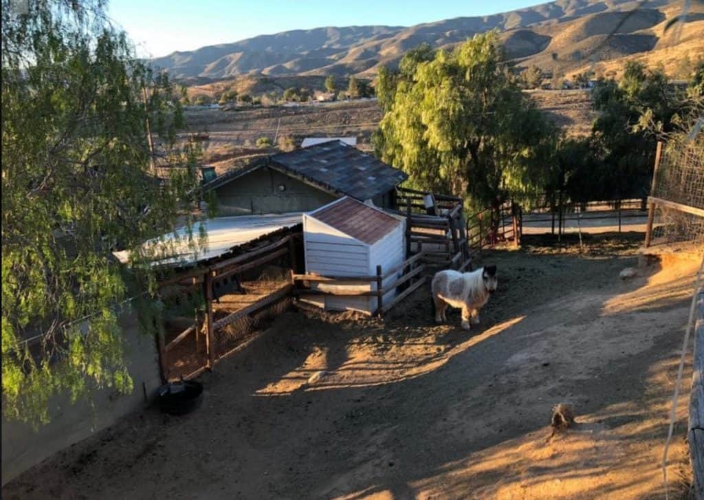 Ranch, Horses and Livestock, Open Spaces, Barns santa clarita rental