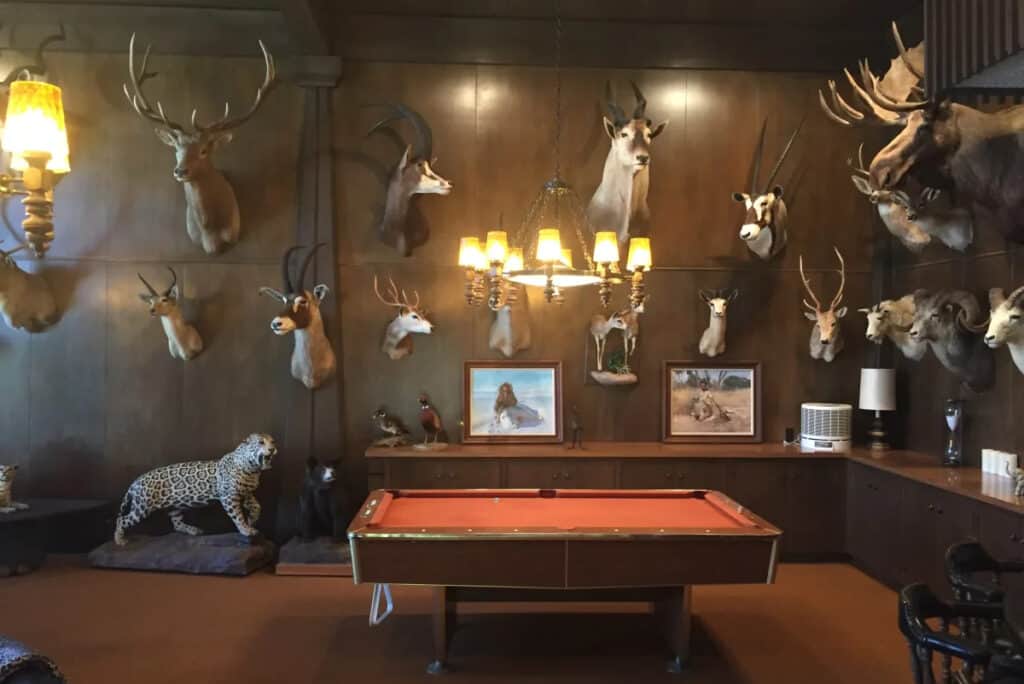 Western Themed Party Ideas