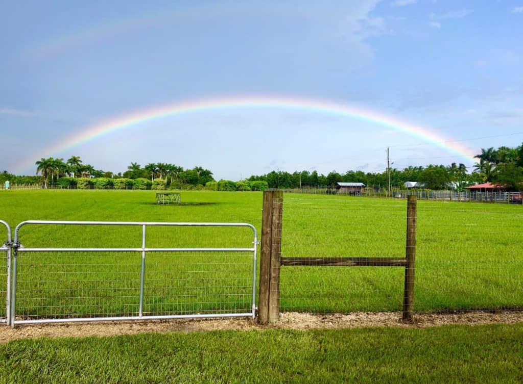 Rustic Country Farm Ranch miami rental 