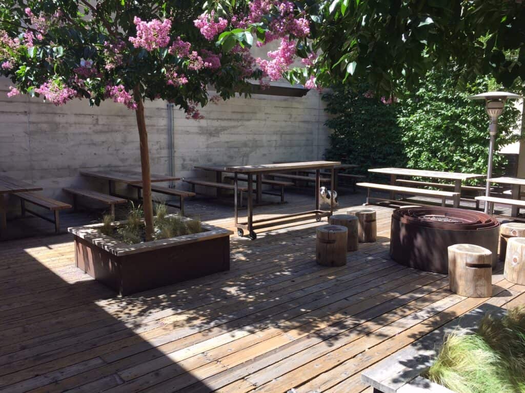 Serene Garden Patio for film and photo shoots san francisco rental