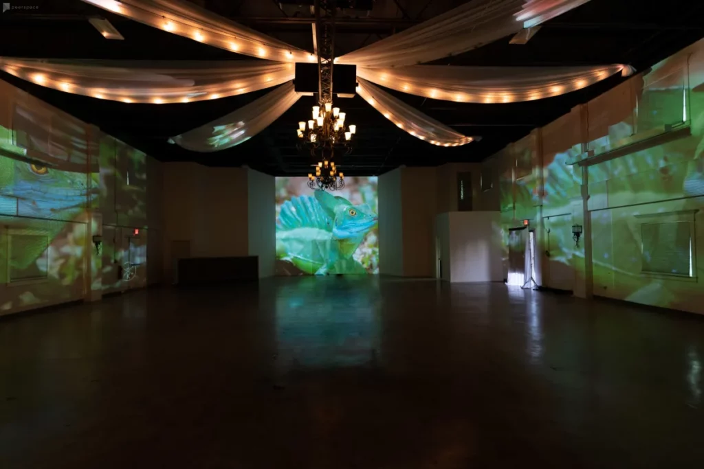 Starry Night Wedding Theme