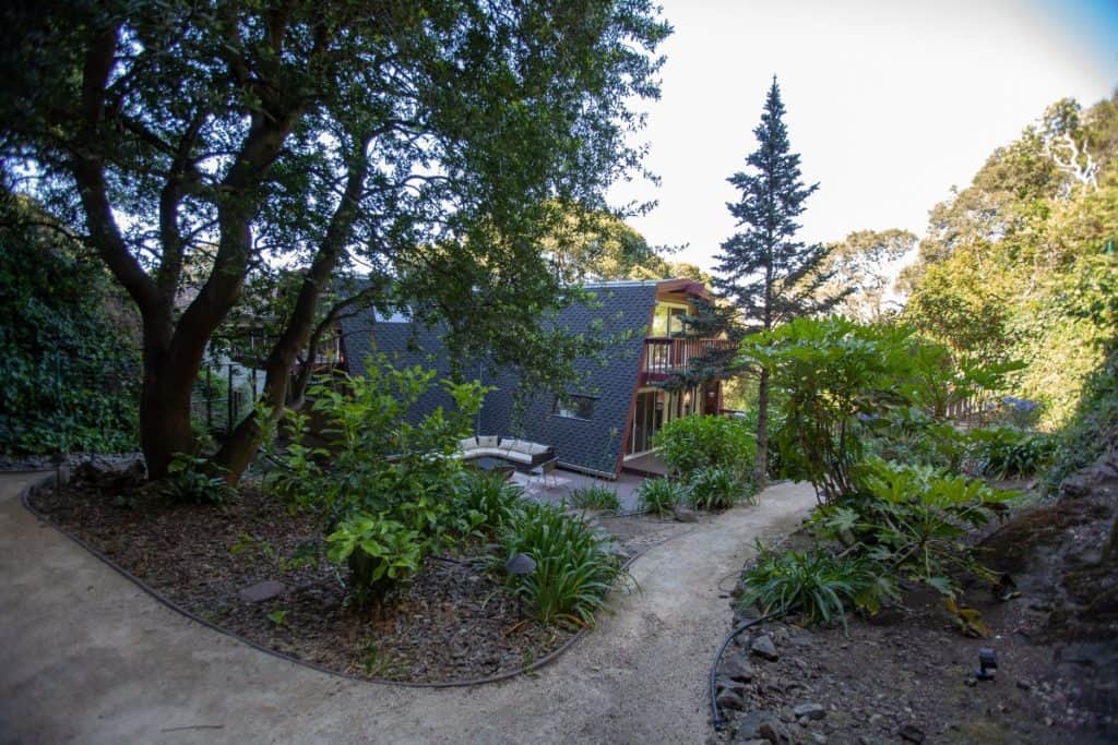 Spacious Tree House Hideaway sf san francisco rental 