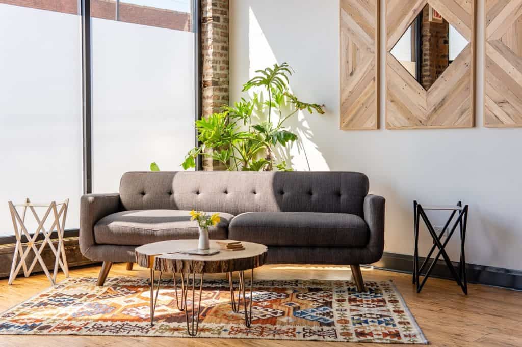 Sunny Bohemian Storefront chicago rental