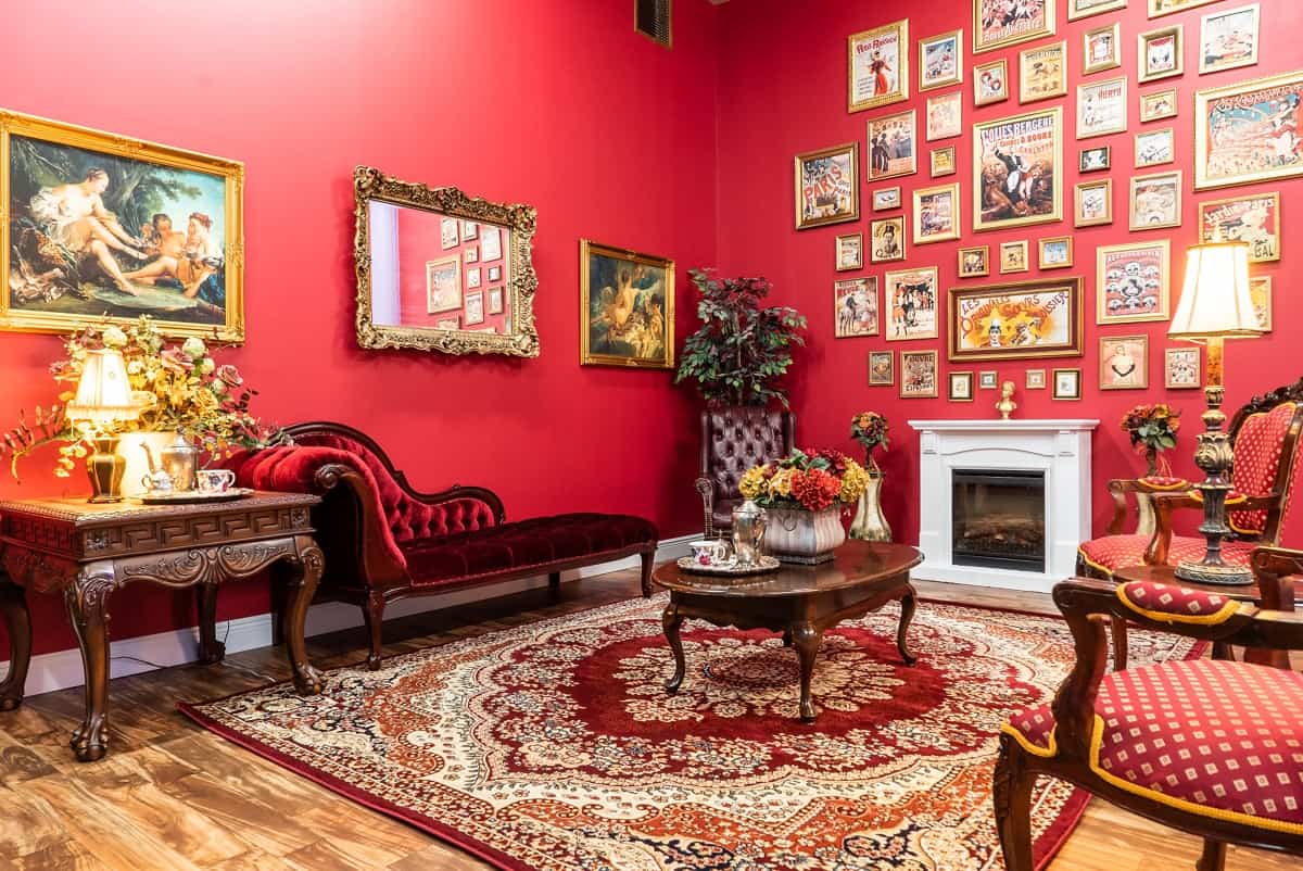 Unique Parisian Inspired Studio houston rental