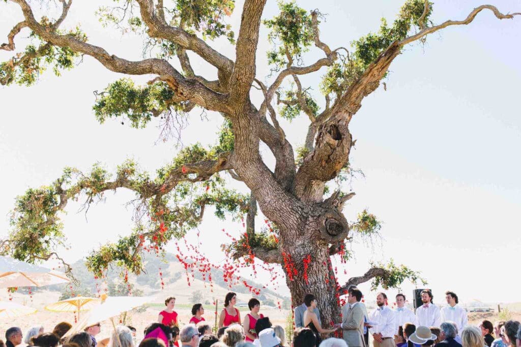 Top 4 Wedding Planners in Sacramento | Peerspace