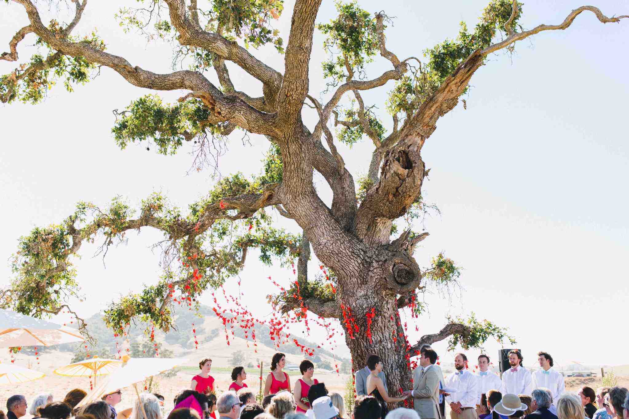 Top 4 Wedding Planners in Sacramento | Peerspace